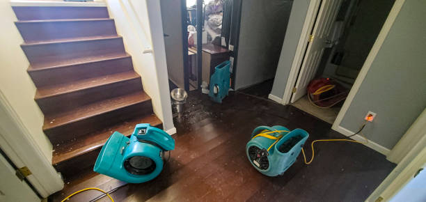 Water damage restoration mold remediation in Eaton Estates, OH