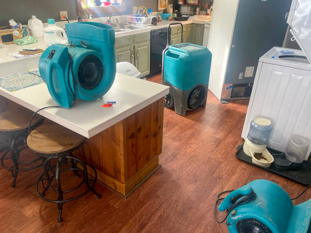 Best 24/7 water damage repair  in Eaton Estates, OH