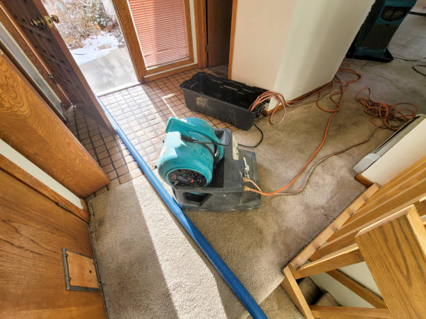 Best Basement water damage restoration  in Eaton Estates, OH