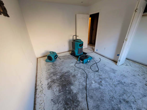 Best Flood restoration services  in Eaton Estates, OH