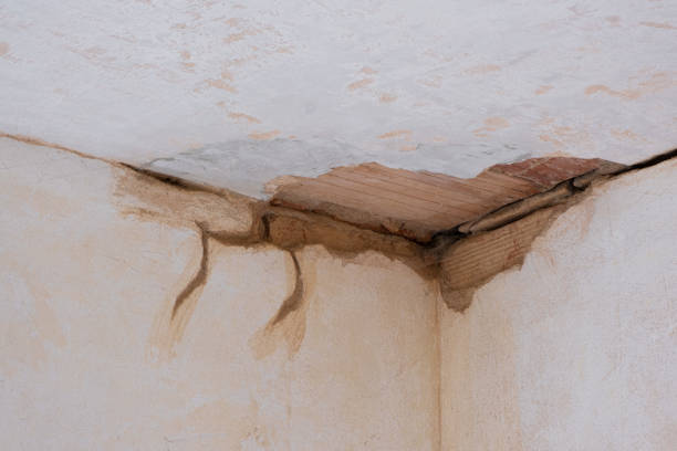 Best Flood damage cleanup  in Eaton Estates, OH