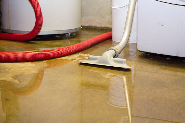  Eaton Estates, OH Water damage restoration Pros