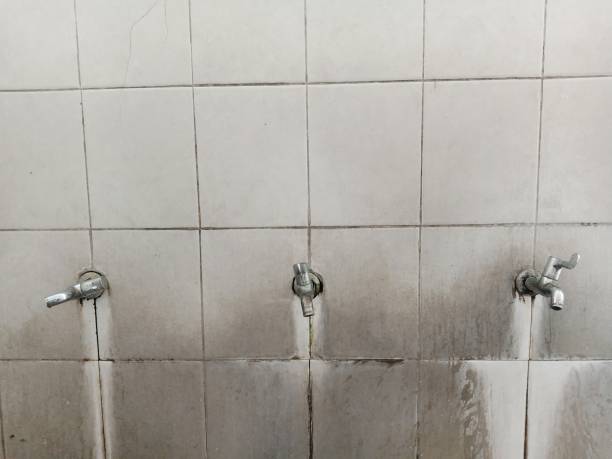 Best Sewage cleanup and water damage restoration  in Eaton Estates, OH