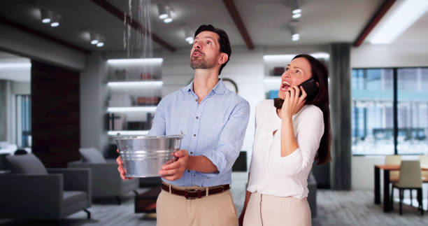 Best Carpet water damage restoration  in Eaton Estates, OH