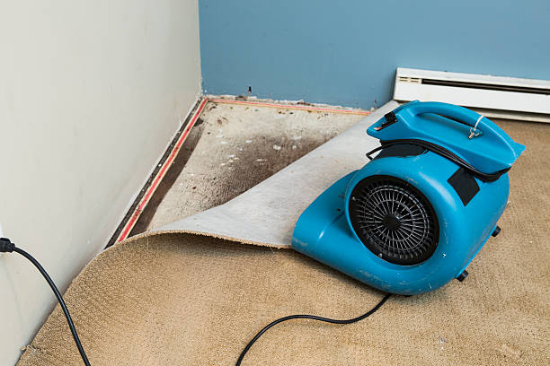 Best Emergency water damage restoration  in Eaton Estates, OH